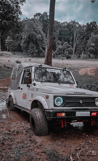 不难发现特 不难发现特