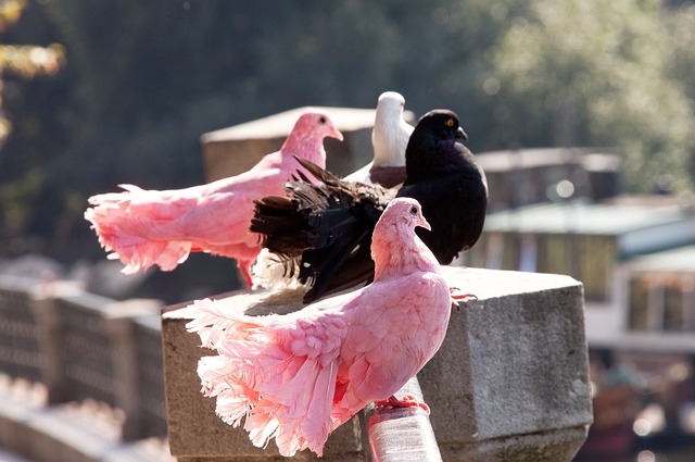 能最大程度 能最大程度