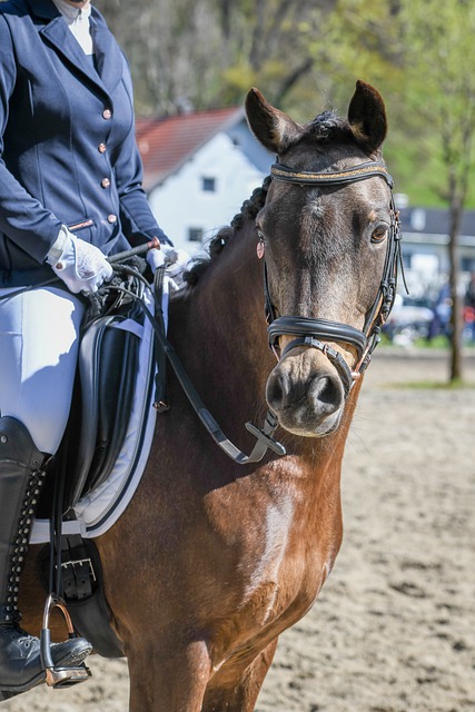 在中段追平 在中段追平