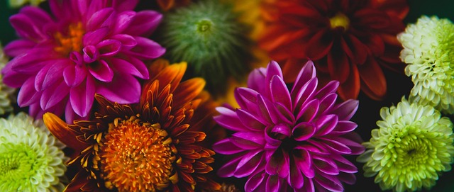 刻和瑕疵瞬 刻和瑕疵瞬